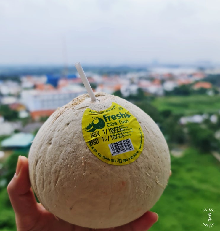 베트남에서 사재기각 코코넛, 효능 알면 까무라침