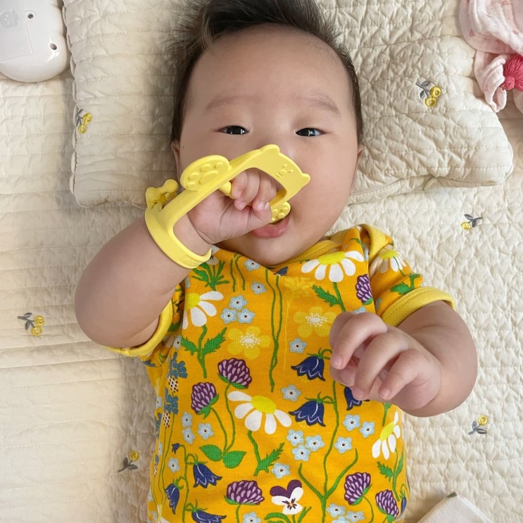 3개월  아기 놀이 치발기 사용기