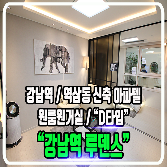  강남역 루덴스 오피스텔 - D타입 소개 (원룸원거실)