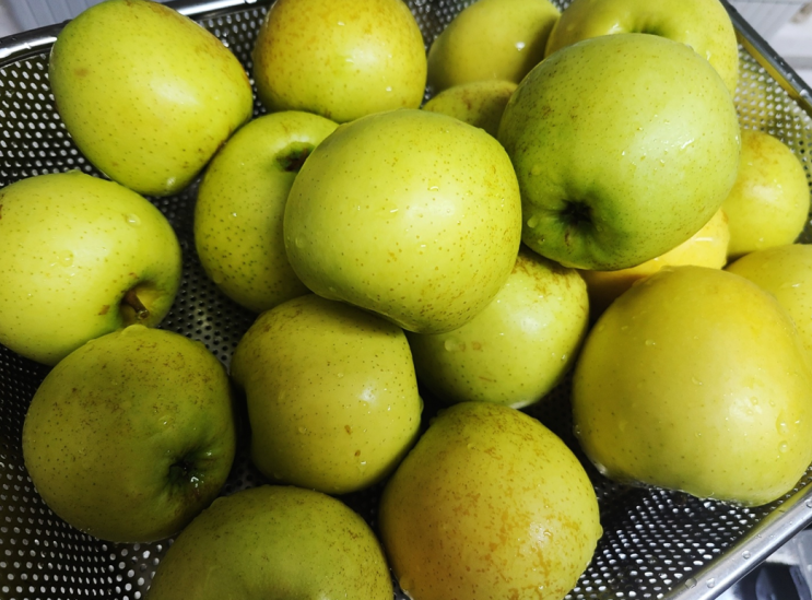 [과일] 건강관리 과일 섭취 황금 사과와 델몬트 바나나 먹방 가즈아~!