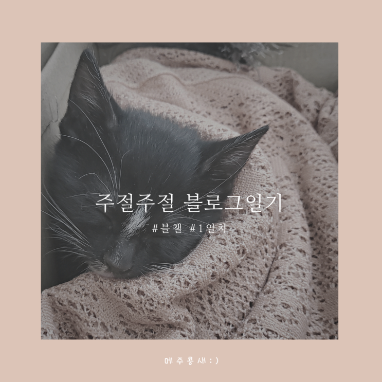  #블챌 #오늘일기 챌린지 1일차