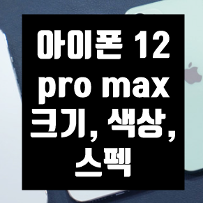 아이폰 12 pro max 크기,색상,스펙 마음에 든다면