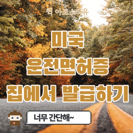  미국 운전면허증 발급하는 방법ㅣ퀵아포스티유