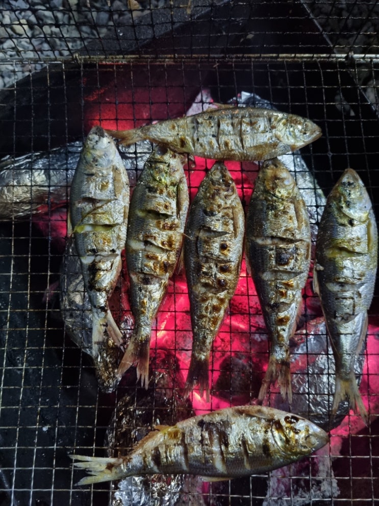  한로