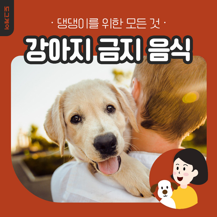  강아지가 먹으면 안 되는 금지 음식!