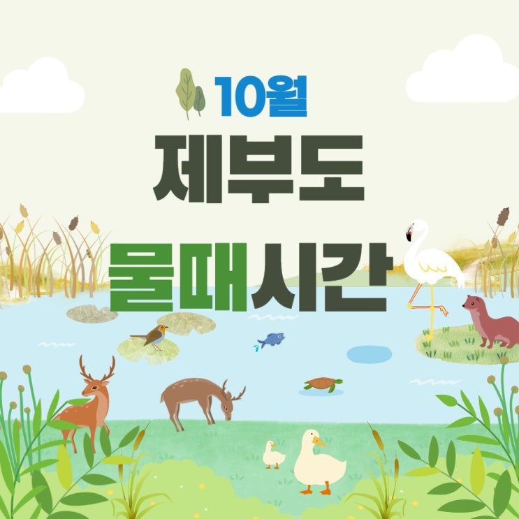  제부도 물때시간표 10월 바닷길 통행시간 잘 확인하자!