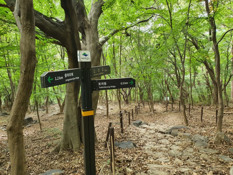  여유를 찾는 한로의 시간을 보내다