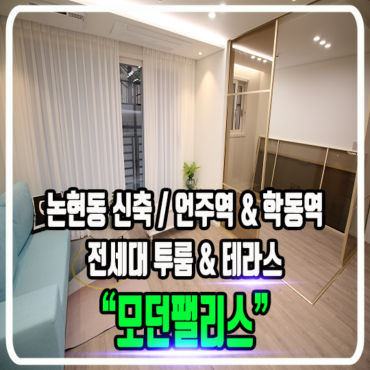  논현동 모던팰리스 신축빌라 - 투룸 & 테라스구조 (타입소개)