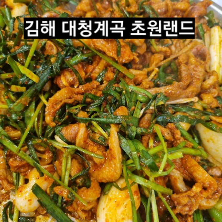  김해 초원랜드 장유 오리고기 맛집 ! 분위기는 덤