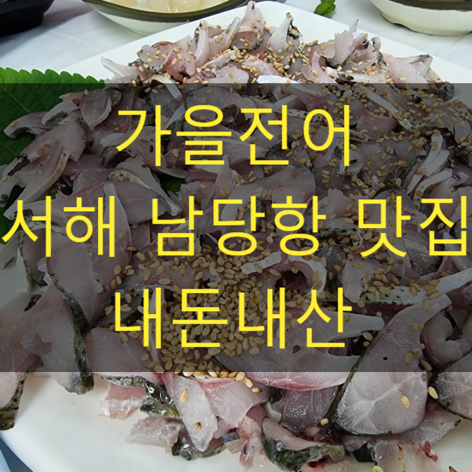  서해 홍성 남당항 맛집 가을전어 제철 회 구이 가격