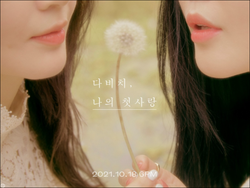 다비치 컴백 나의 첫사랑, 이해리 강민경 나이 MBTI 키 최고