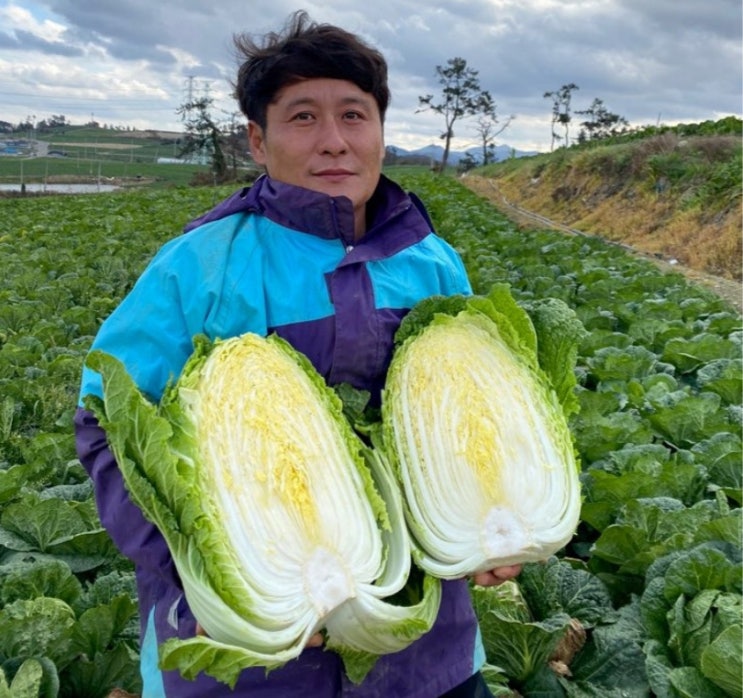  학동농장 해남절임배추20kg 국내산이라 믿고 주문해요