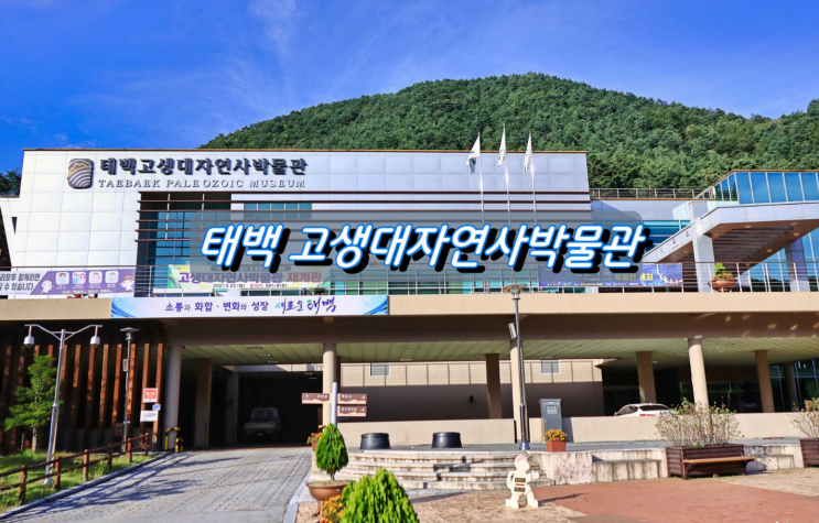 어린이와 함께 나들이하기 좋은곳, 태백고생대자연사박물관 어린이와 함께 나들이하기 좋은곳, 태백고생대자연사박물관