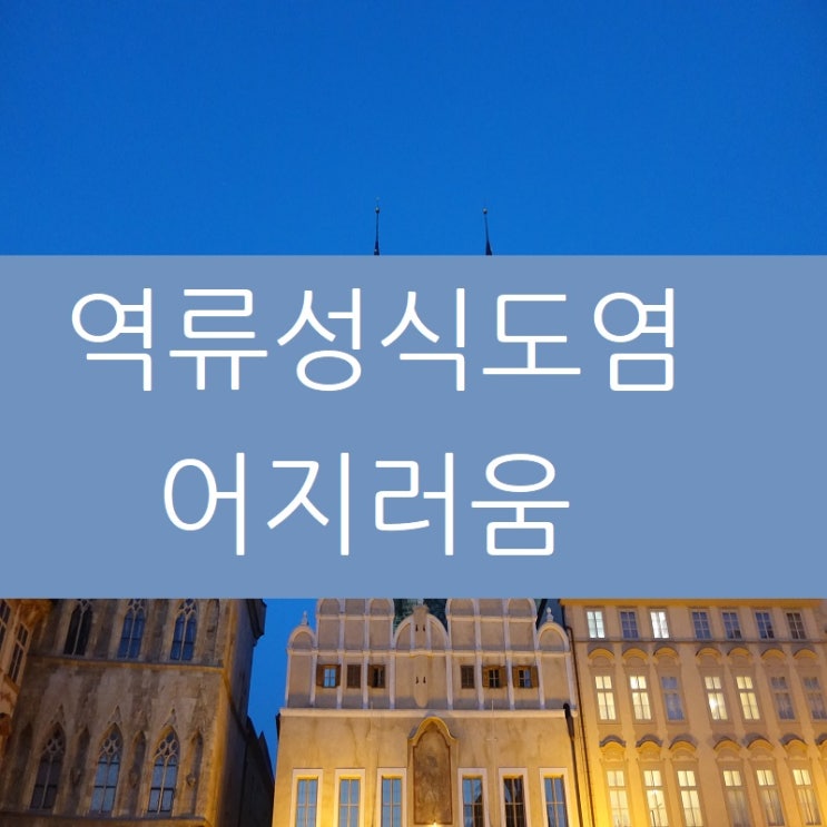  역류성식도염 어지러움 목소리 잠김 함께 나타날 때