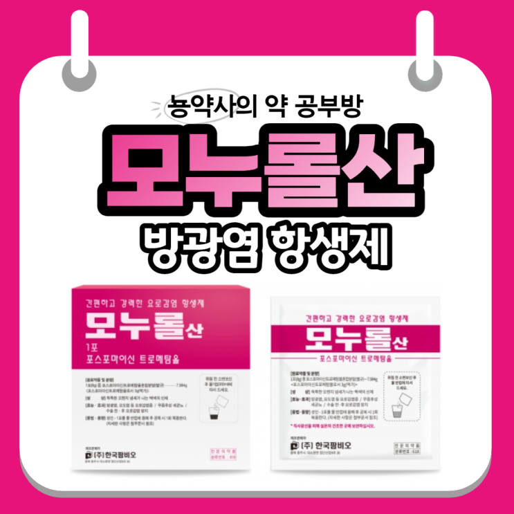  [뇽약사] 요로감염/방광염 항생제, 모누롤산 (임산부 처방 가능) 작용기전부터 복용법, 부작용