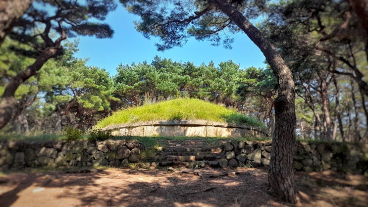 경주 역사 여행지, 누구도 욕할 수 없는 진덕여왕 그리고 대한민국 사적 제24호 진덕여왕릉