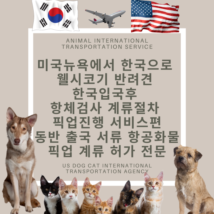  반려동물 강아지 고양이 한국입국 출국 운송 반려동물카고 애견검역
