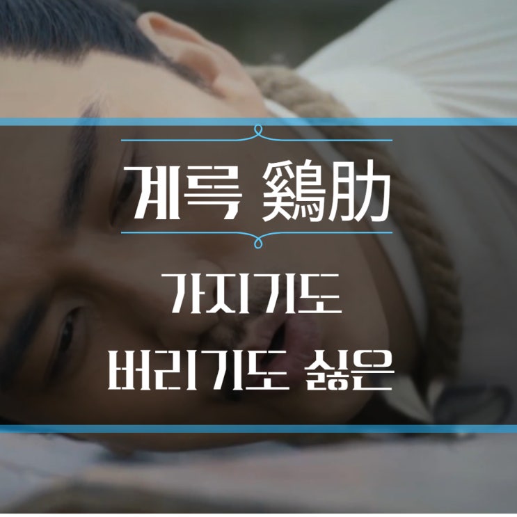  삼국지 사자성어 : 계륵 鷄肋 - 버리긴 아깝고 가지긴 걸치적스럽고