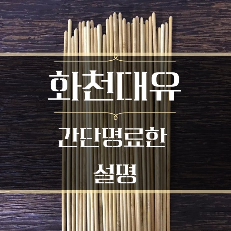 화천대유 뜻 간단명료한 쉬운 설명 정리 (성남도시개발공사, 성남의 뜰과 구조관계 포함)