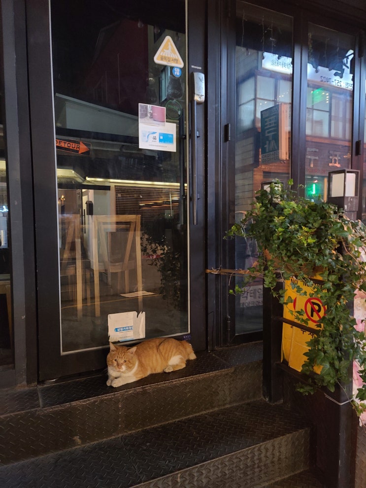  대흥동핫플 홍콩구락부 맛집
