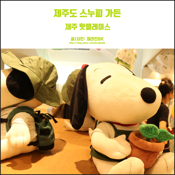  제주도 스누피 가든 기념품과 카페까지! 요즘 핫플레이스?