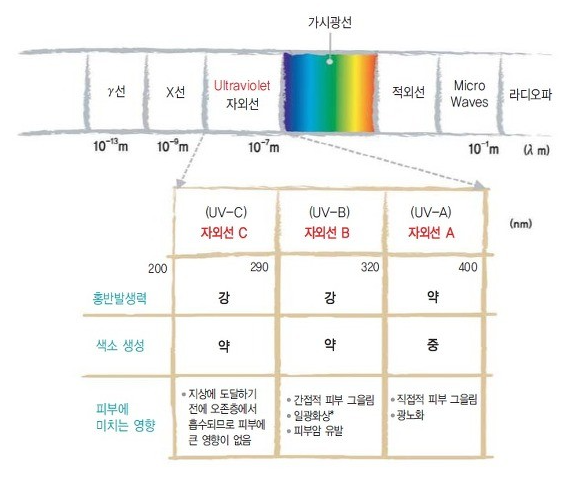  꿀피부가 되는 방법: 피부관리 간소화