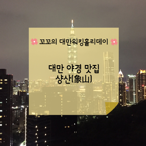  [대만워홀] 타이베이 야경맛집 샹산(象山)