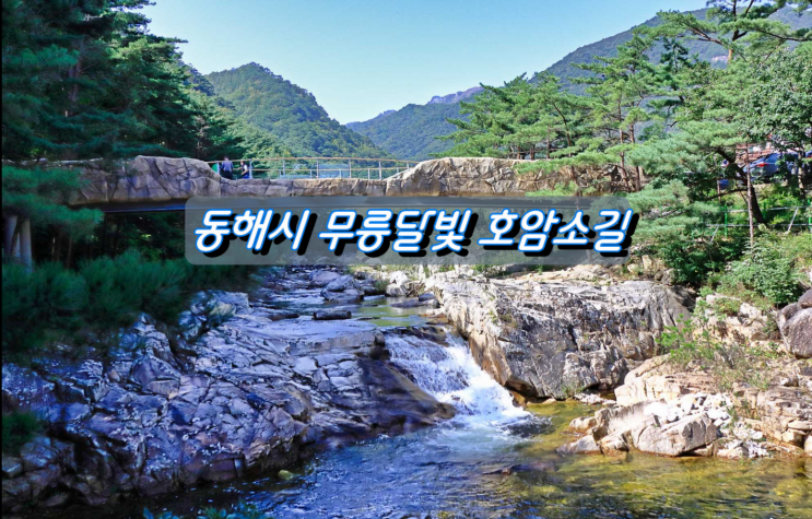 동해시 가볍게 걷기 좋은곳 무릉달빛 호암소길 동해시 가볍게 걷기 좋은곳 무릉달빛 호암소길