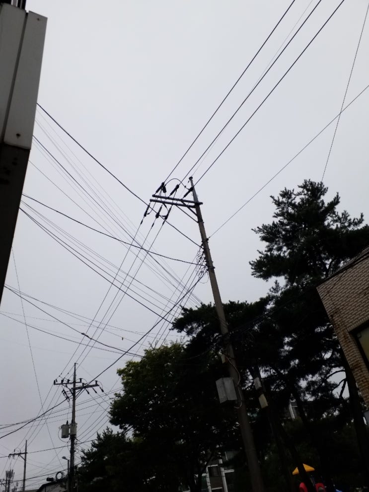  한로