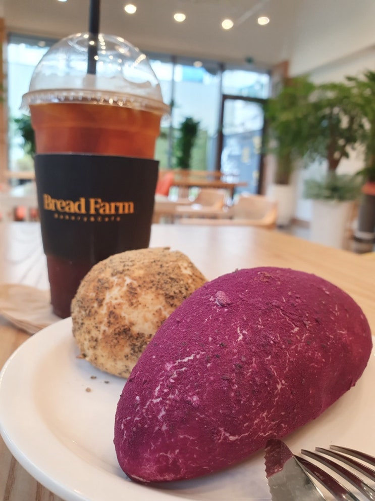  [전주빵집]전북대 베이커리 맛집 브레드팜
