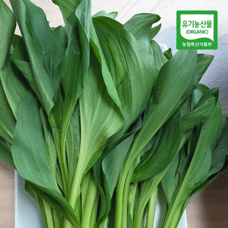 잘팔리는 강원도 평창 고랭지 무농약 친환경 농가 산마늘 명이나물 장아찌 1kg 2kg 4kg, 대명이 2kg 추천합니다 잘팔리는 강원도 평창 고랭지 무농약 친환경 농가 산마늘 명이나물 장아찌 1kg 2kg 4kg, 대명이 2kg 추천합니다