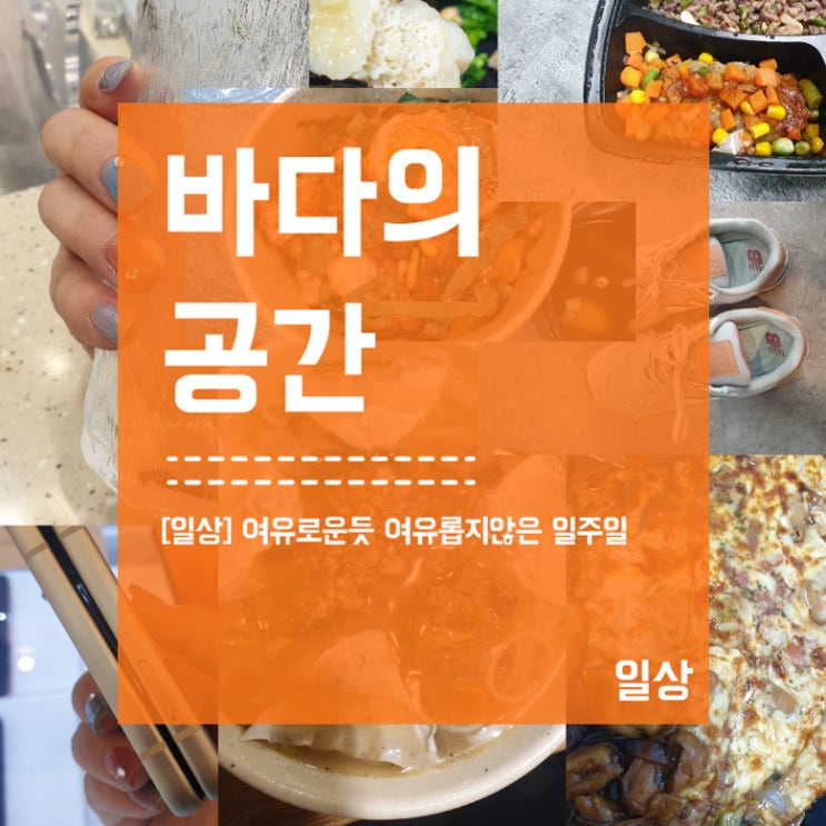  [일상] 여유로운듯 여유롭지 않은 일주일