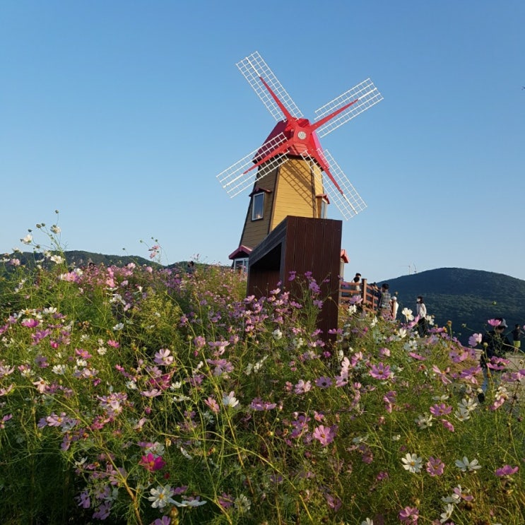  경북 군위 여행 풍차가 예쁜 화산마을 화산산성하늘전망대 가는길 운전조심