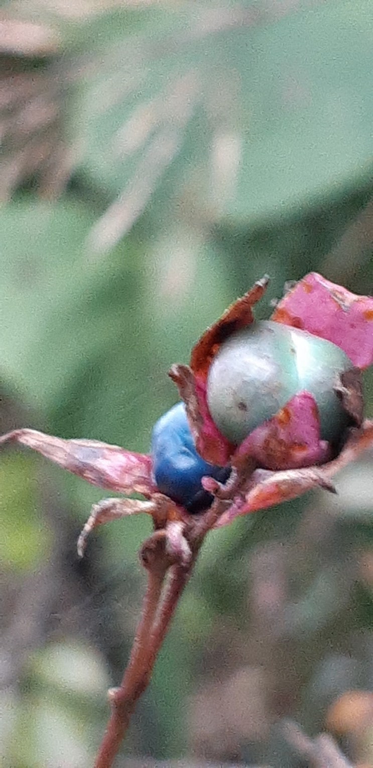 산골아침 산골 둘러 보기