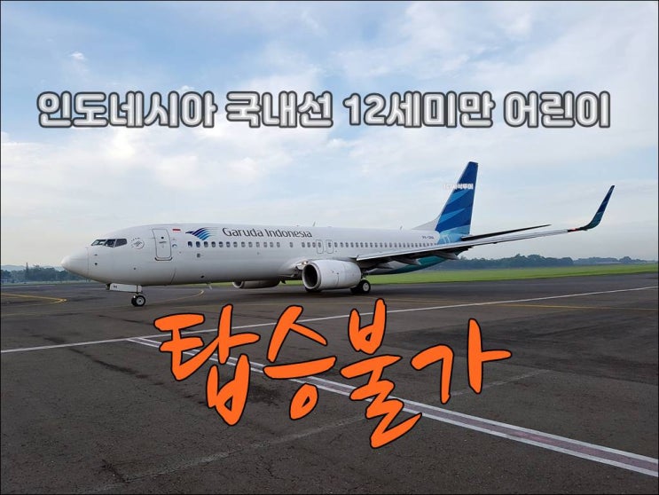 발리공항 12세미만 어린이 이용불가, 인도네시아 국내선