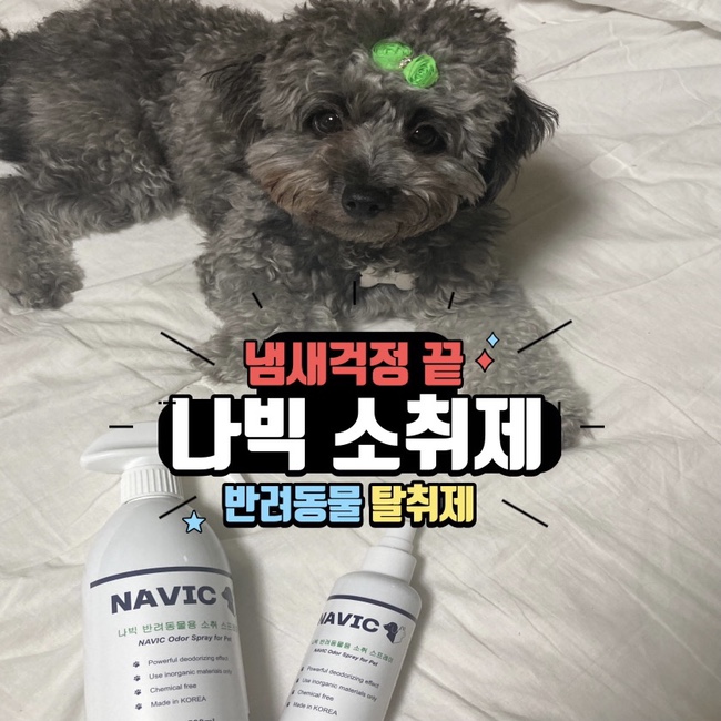  강아지탈취제 "나빅 소취제 천연 항균 스프레이"로 냄새 걱정 끝