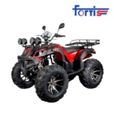 당신만 모르는 포르티스 오토매틱 ATV 200cc 4륜 오토바이 사륜 바이크 사발이, 화이트 추천해요 당신만 모르는 포르티스 오토매틱 ATV 200cc 4륜 오토바이 사륜 바이크 사발이, 화이트 추천해요
