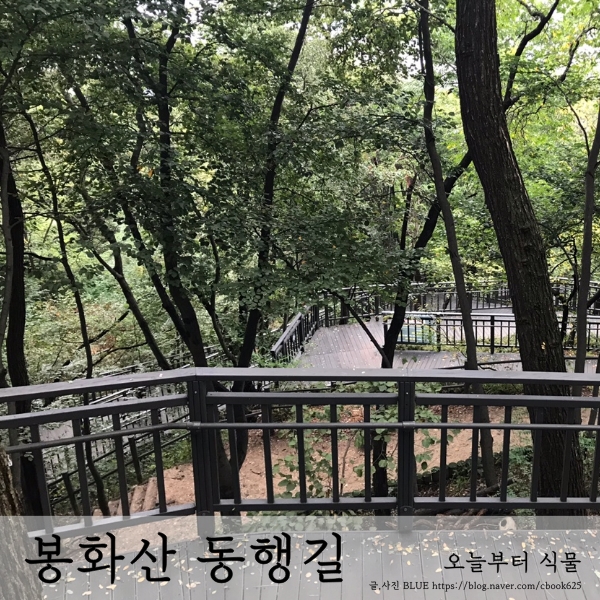 중랑구 봉화산 동행길 무장애 숲길