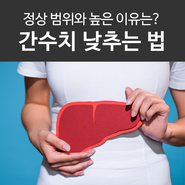 간수치 낮추는 법, 정상 범위는? 간수치가 높은 이유!