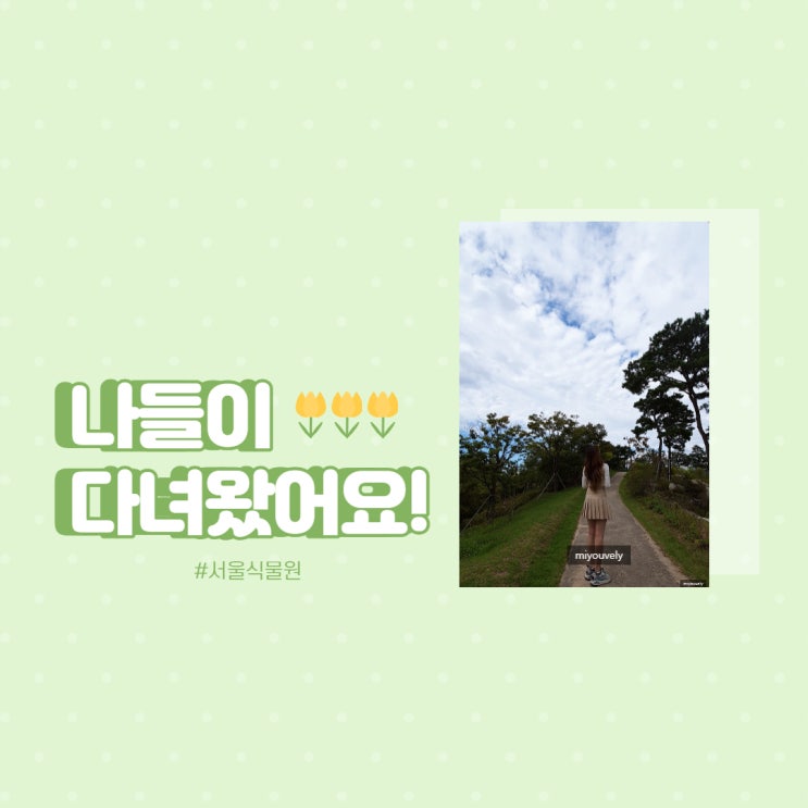  자연으로 치유해주는 곳 서울 식물원