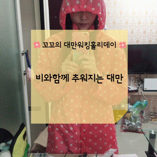  [대만워홀] 점점 추워지기 시작하는 대만