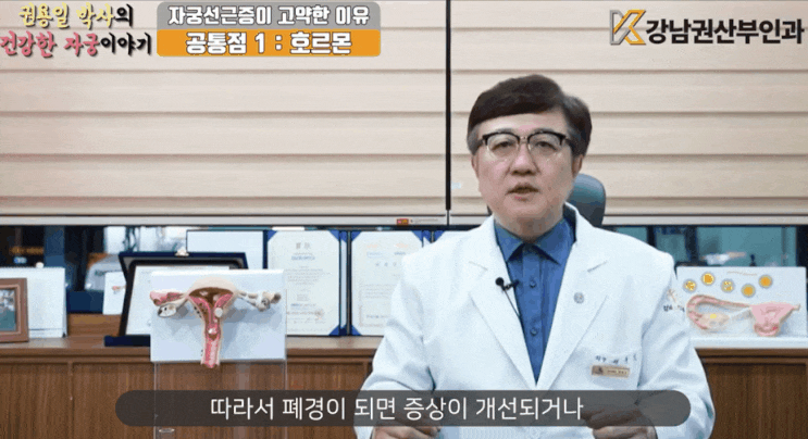  자궁선근증원인? 그 전에 확인해야 할 '이것'