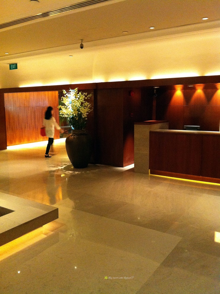 싱가포르 자가격리 호텔 추천ㅣ리츠칼튼 · 그랜드 하얏트 싱가폴