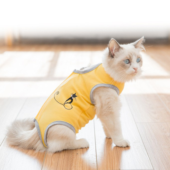 많이 찾는 코코스튜디오 고양이 라인 환자복, 옐로우 추천해요 많이 찾는 코코스튜디오 고양이 라인 환자복, 옐로우 추천해요