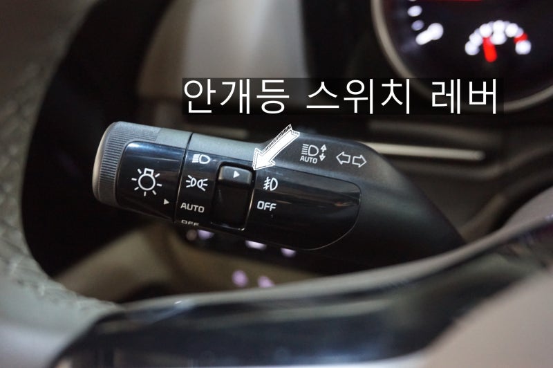 대전 서구 / 튜온 순정 사이드스텝, 순정 LED안개등 장착 / 기아 카니발 KA4