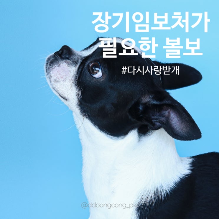  장기임보처가 필요한 다시사랑받개 볼보입니다.
