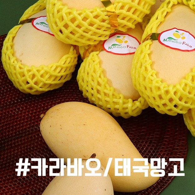 요즘 인기있는 프리미엄 고당도 애플망고 태국 망고 페루 카라바오 선물 세트 추천, 02.카라바오(소과)9개입선물세트 좋아요 요즘 인기있는 프리미엄 고당도 애플망고 태국 망고 페루 카라바오 선물 세트 추천, 02.카라바오(소과)9개입선물세트 좋아요