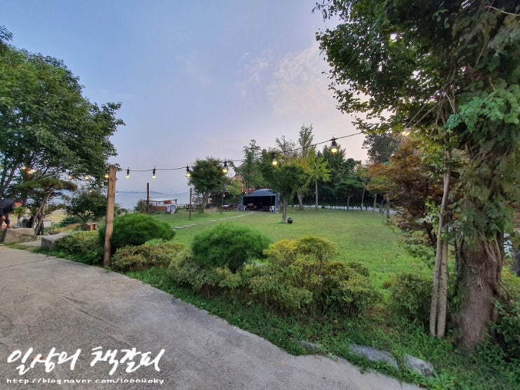  인천강화 1박2일 - 2021. 10. 6. 강화도 애견펜션 <터펜션> 잔디밭에서 뛰노는 강아지들보며 힐링