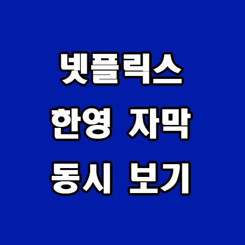  넷플릭스 한영 자막 동시 보기