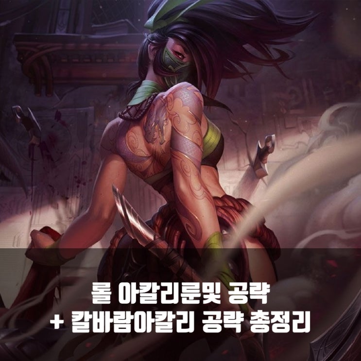 롤 아칼리룬 및 칼바람아칼리 공략 롤 아칼리룬 및 칼바람아칼리 공략